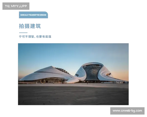 攀岩美学研讨会：探索岩壁艺术设计与空间创意融合的创新路径