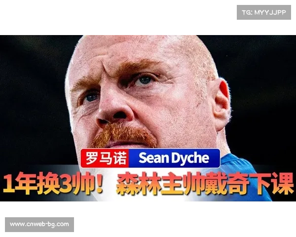 诺丁汉森林主帅肖恩·戴奇下课,赛季三换帅保级失败 诺丁汉森林主帅肖恩·戴奇下课,赛季三换帅保级失败